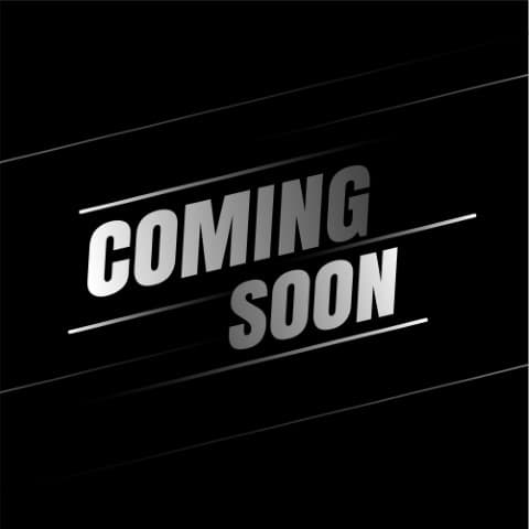 Gameplay screenshot 1